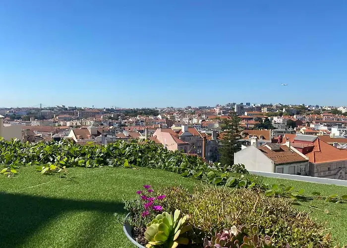 100 Steps Amazing View