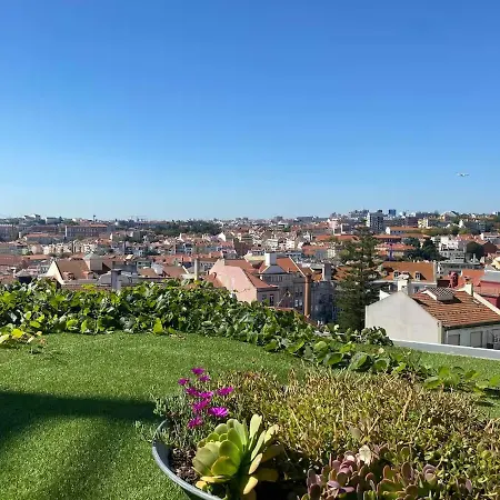 100 Steps Amazing View